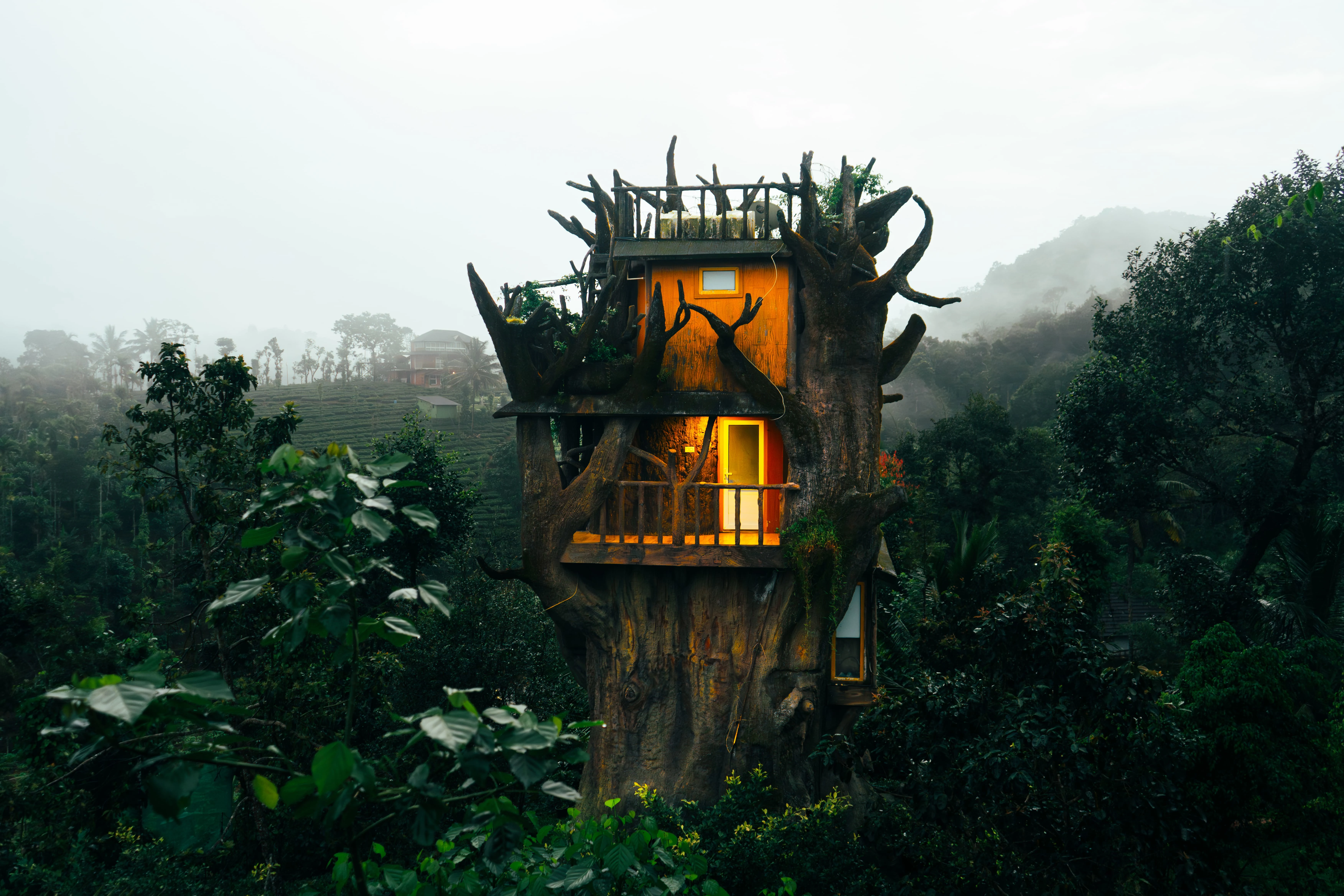 Canopy Treehouse Exterior