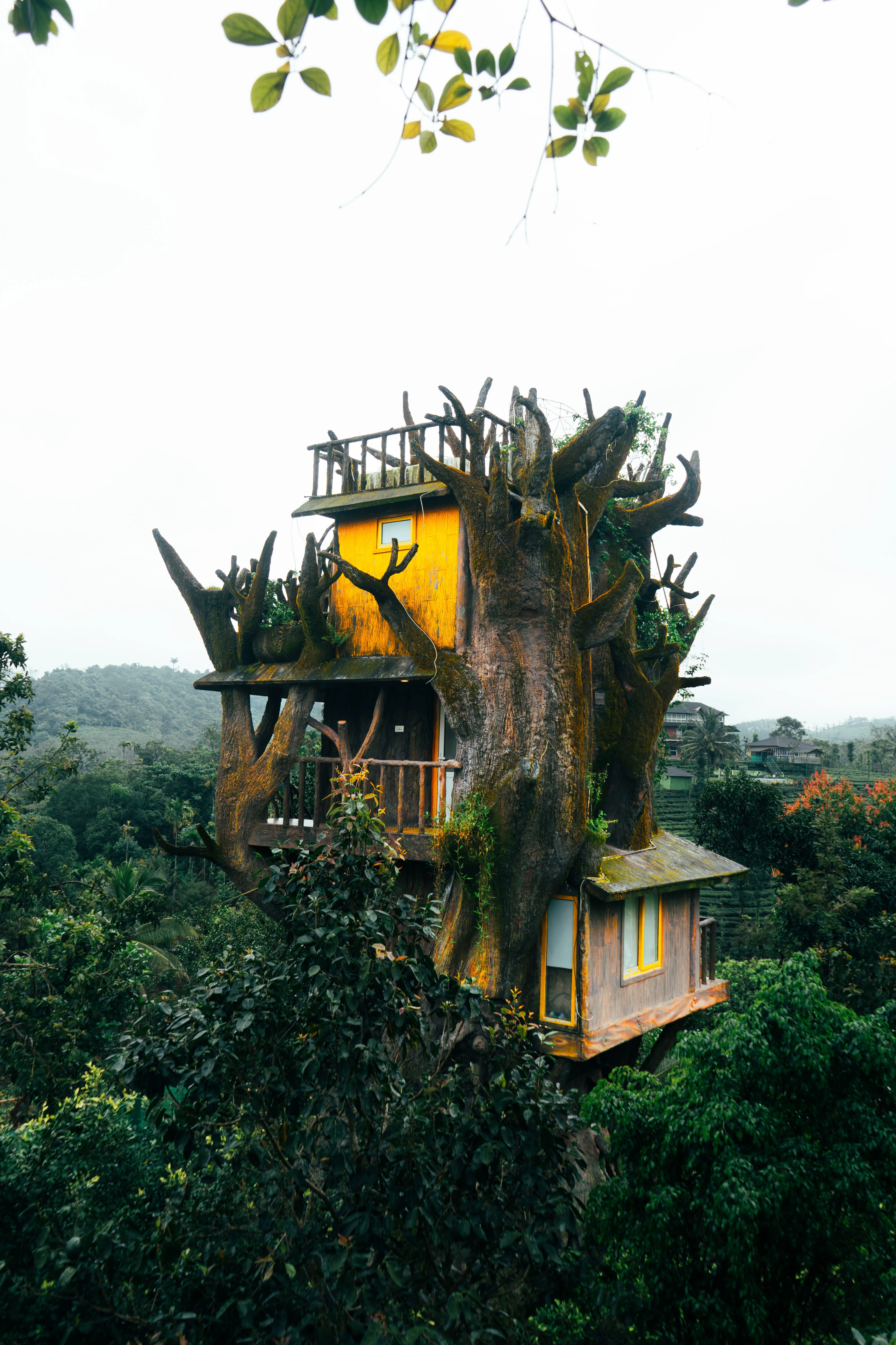 Tree Hut — B1